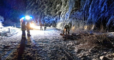 Unterstützen der Feuerwehr Stockenboi bei Schneebrüchen