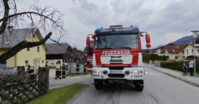 Kaminbrand in Rothenthurn