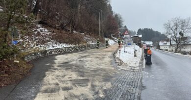 Schadstoffaustritt in Politzen Schadstoffaustritt in Politzen