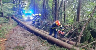 Sturmschäden nach Unwetter Sturmschäden nach Unwetter