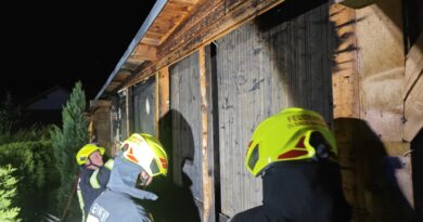 Gartenhütte drohte abzubrennen